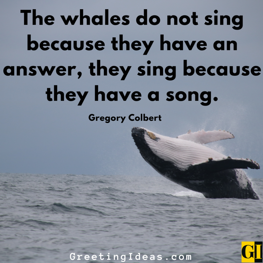 Whale Quotes Images Greeting Ideas 3