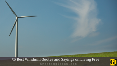 50 Best Windmill Quotes and Sayings on Living Free