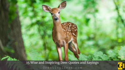 15 Wise and Inspiring Deer Quotes and Sayings