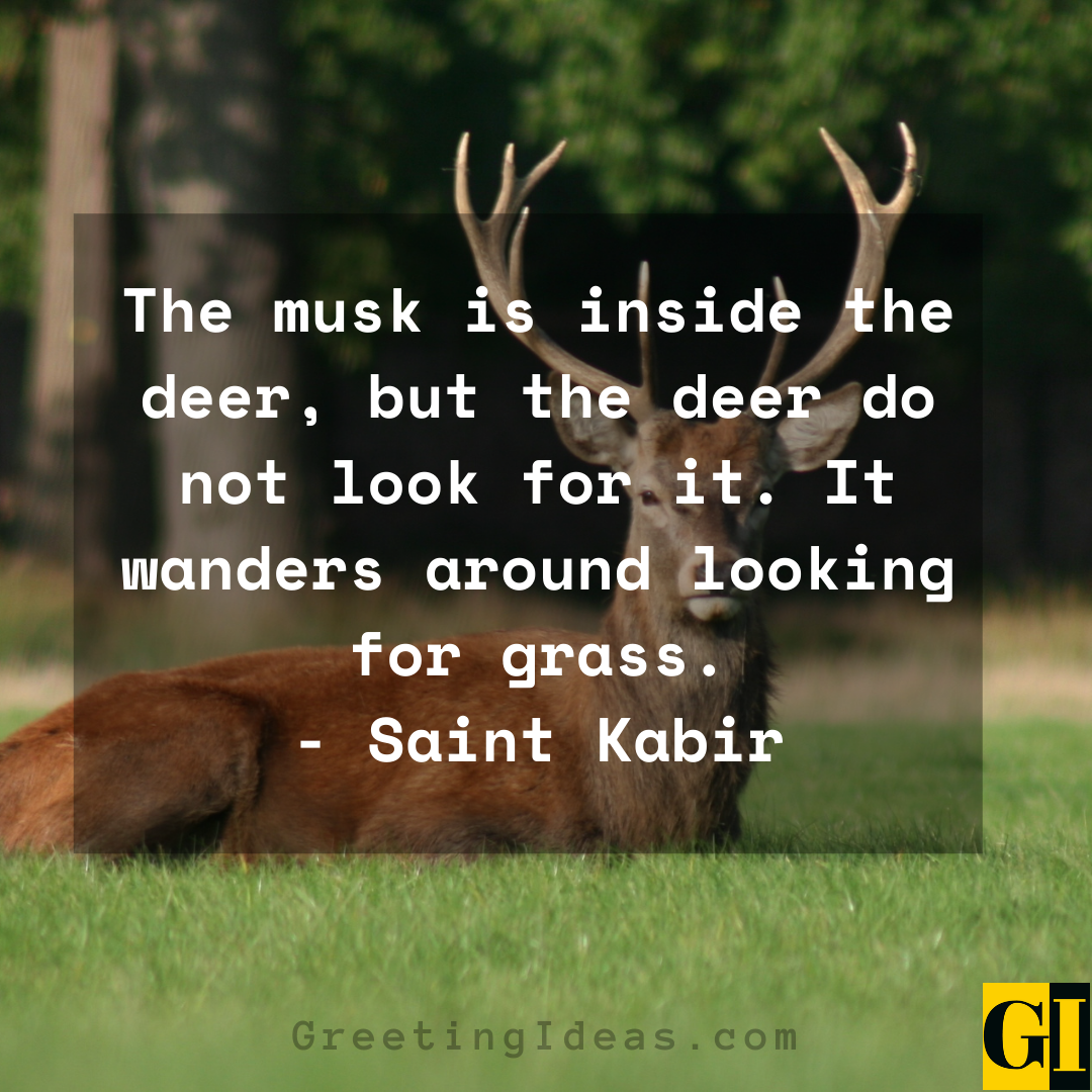 Deer Quotes Greeting Ideas 1 1