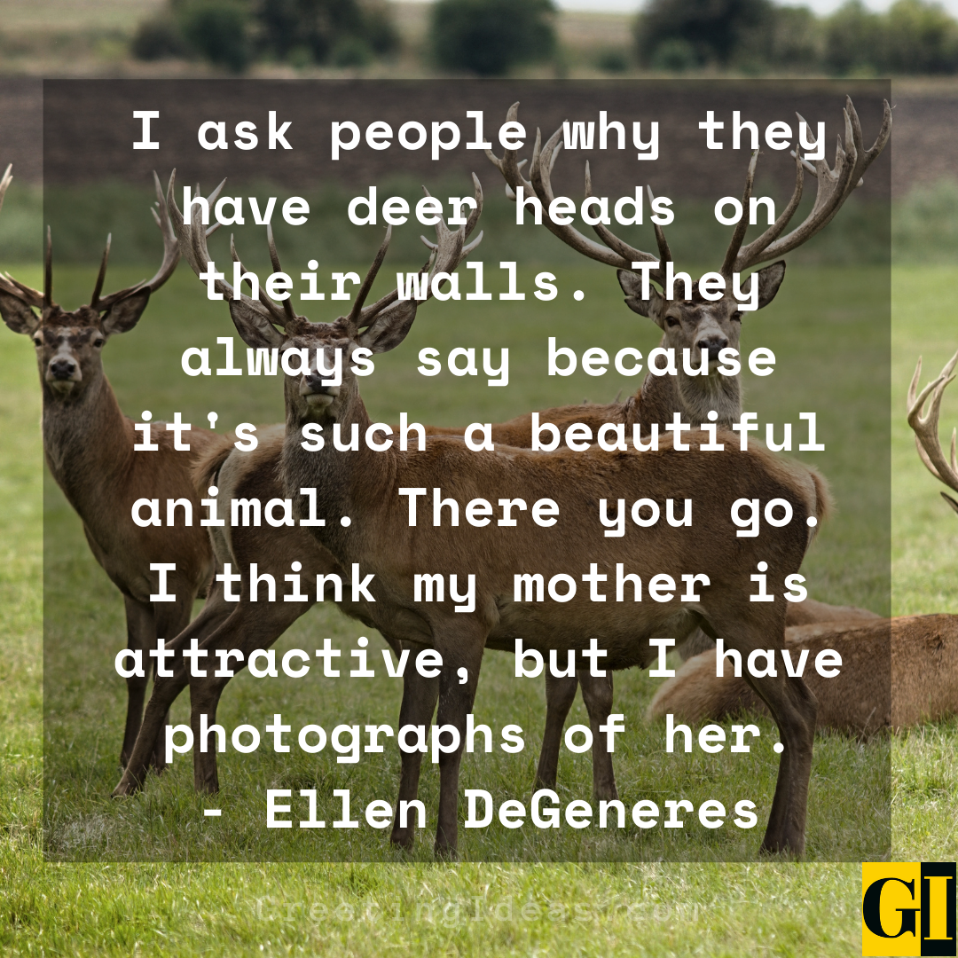 Deer Quotes Greeting Ideas 3