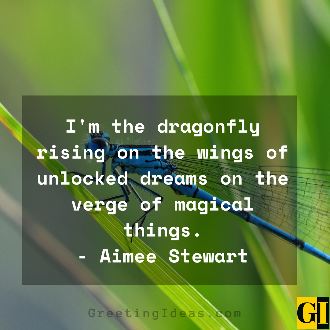 Dragonfly Quotes Greeting Ideas 1
