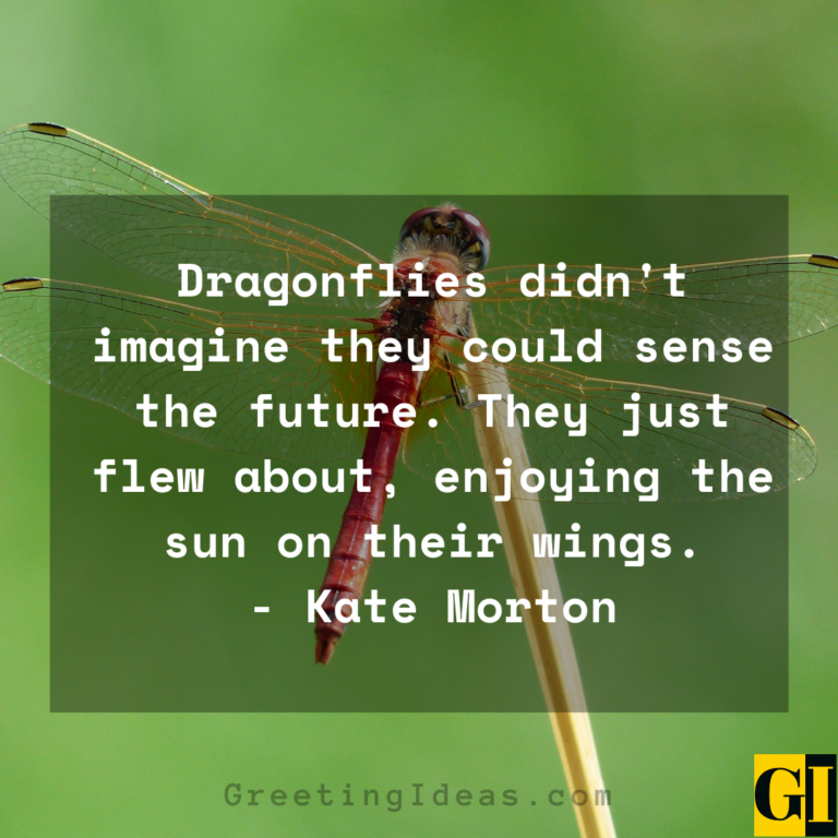 25 Inspiring Dragonfly Quotes And Saying For New Beginning