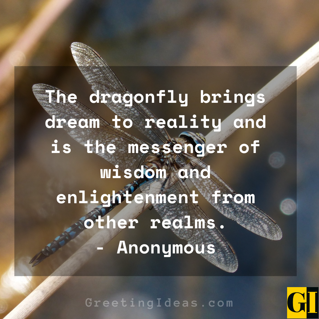 Dragonfly Quotes Greeting Ideas 3