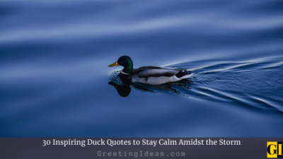 30 Inspiring Duck Quotes to Stay Calm Amidst the Storm