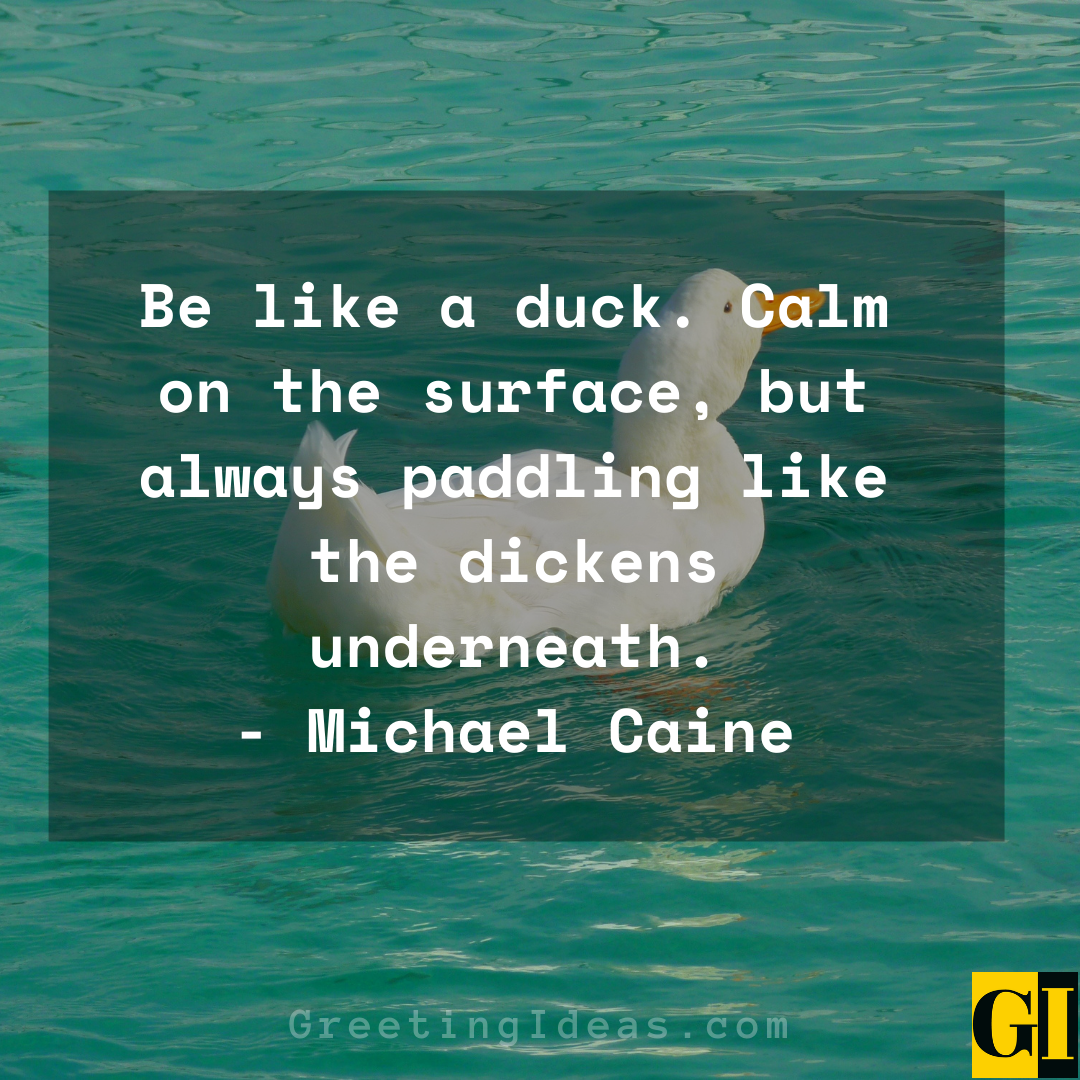 Duck Quotes Greeting Ideas 3