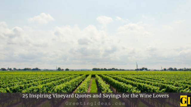 25 Inspiring Vineyard Quotes and Sayings for the Wine Lovers
