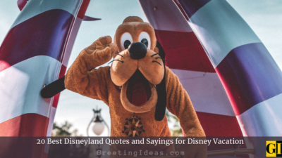 20 Best Disneyland Quotes and Sayings for Disney Vacation