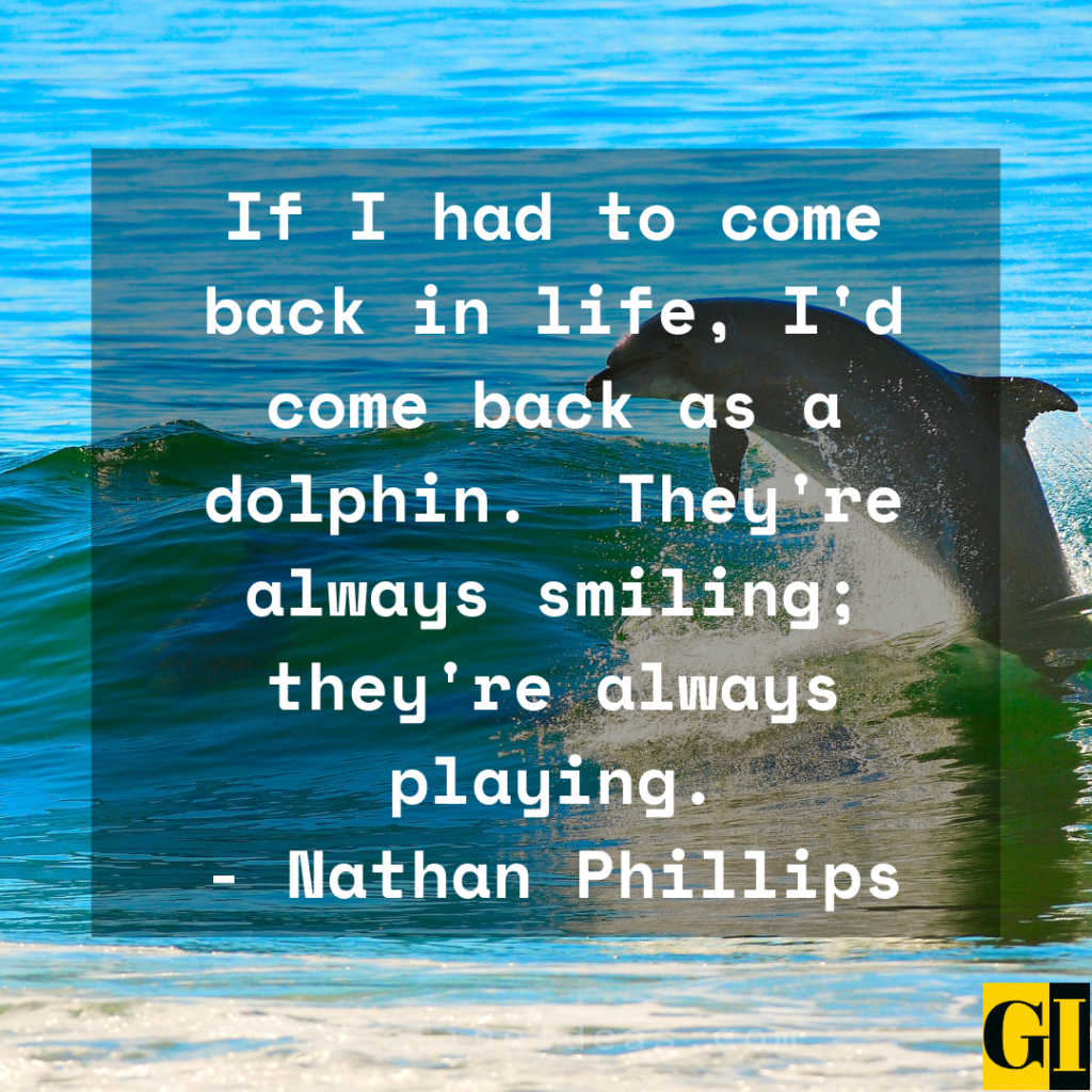 Dolphin Quotes Greeting Ideas 1