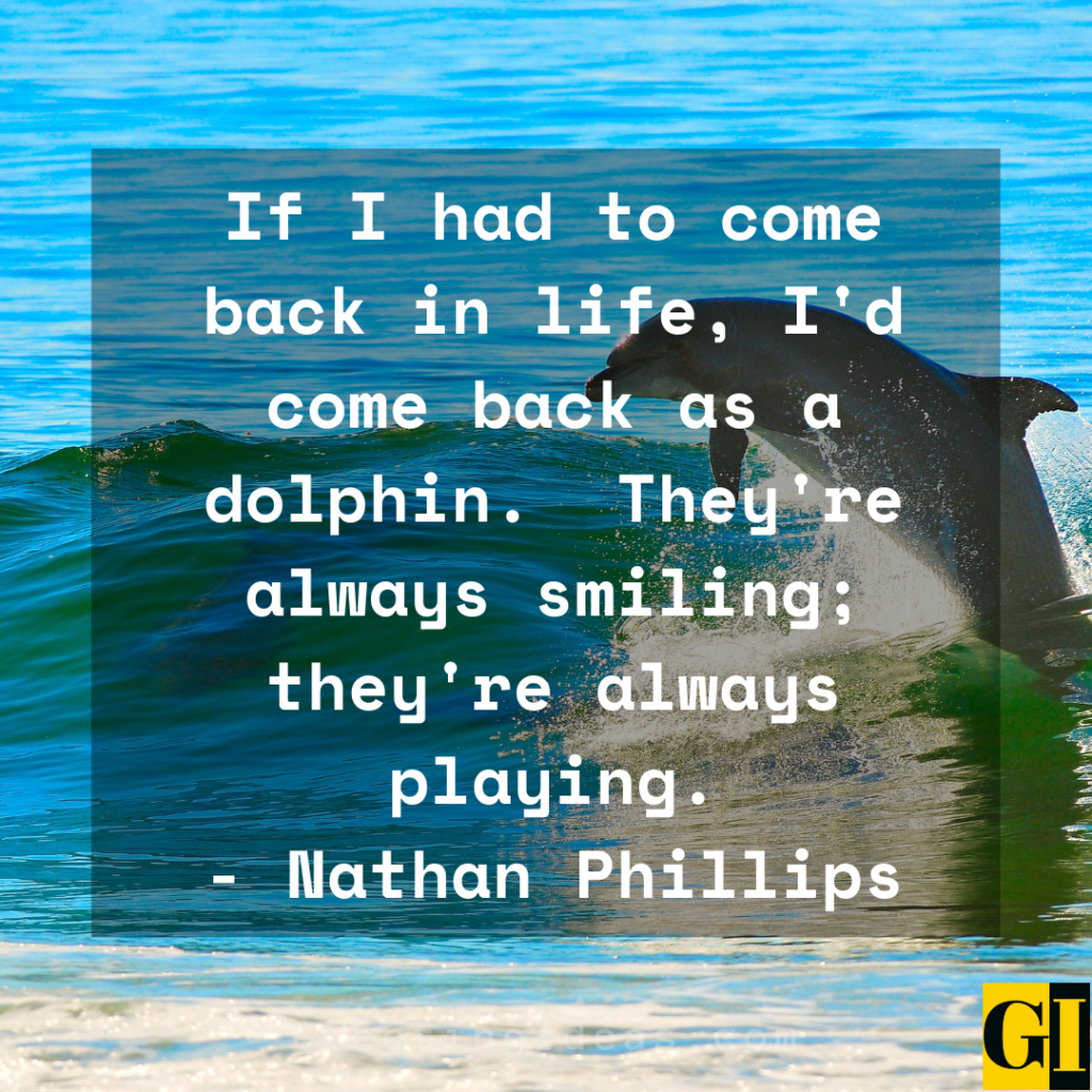 25 Happy Dolphin Quotes and Saying That Will Make Your Day