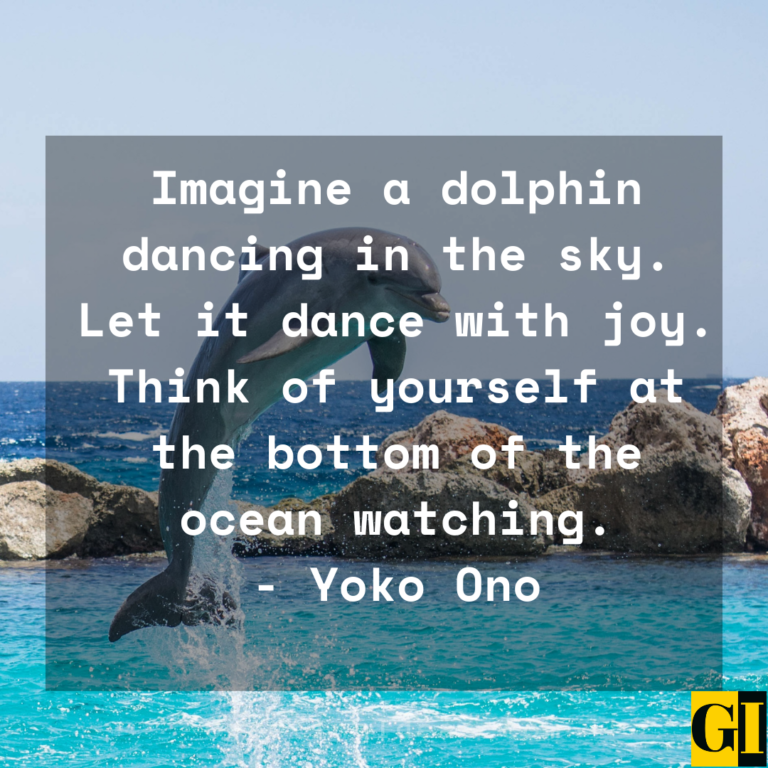 25 Happy Dolphin Quotes and Saying That Will Make Your Day