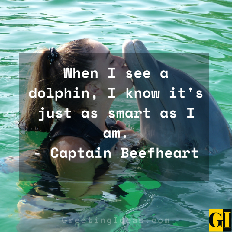 25 Happy Dolphin Quotes and Saying That Will Make Your Day