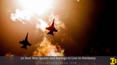 50 Stop War Quotes and Sayings to Live in Harmony