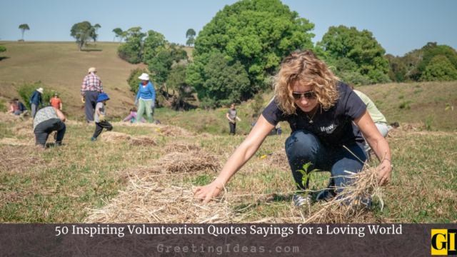 50 Inspiring Volunteerism Quotes Sayings For A Loving World