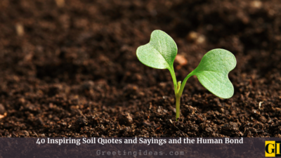 40 Inspiring Soil Quotes and Sayings and the Human Bond