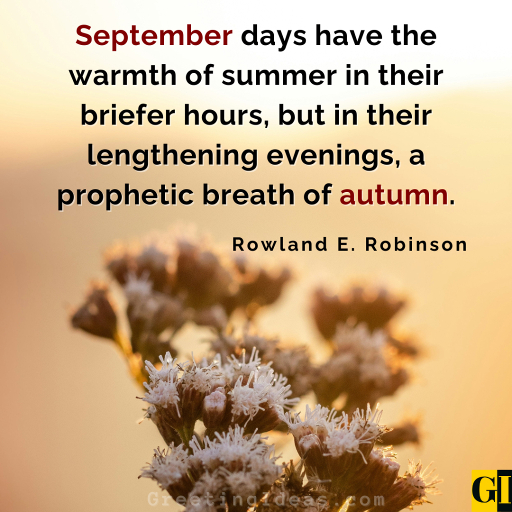 September quote image about letting go of summer and welcoming autumn’s quiet transformation.