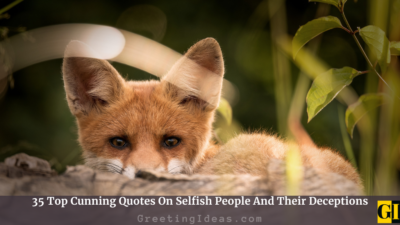 35 Top Cunning Quotes On Selfish People And Their Deceptions