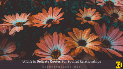 35 Life is Delicate Quotes For Soulful Relationships