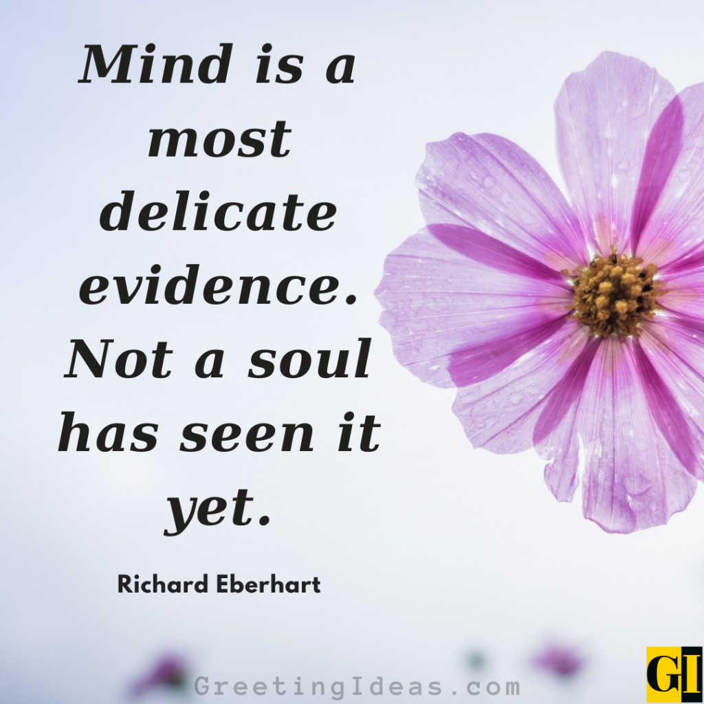 Delicate Quotes Images Greeting Ideas 1