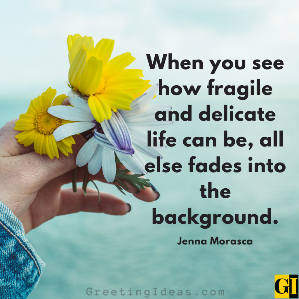 Delicate Quotes Images Greeting Ideas 3