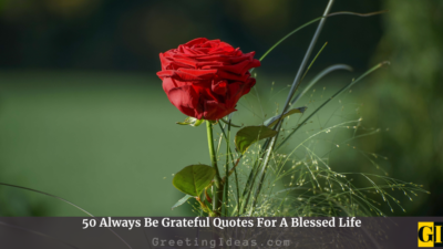 50 Always Be Grateful Quotes For A Blessed Life