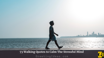 73 Walking Quotes to Calm The Stressful Mind