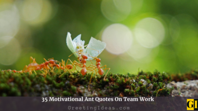 35 Motivational Ant Quotes On Team Work