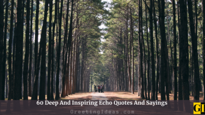 60 Deep And Inspiring Echo Quotes And Sayings
