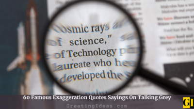 60 Famous Exaggeration Quotes Sayings On Talking Grey