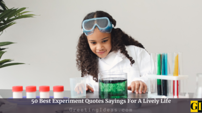 50 Best Experiment Quotes Sayings For A Lively Life