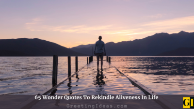 65 Inspiring Wonder Quotes To Rekindle Aliveness