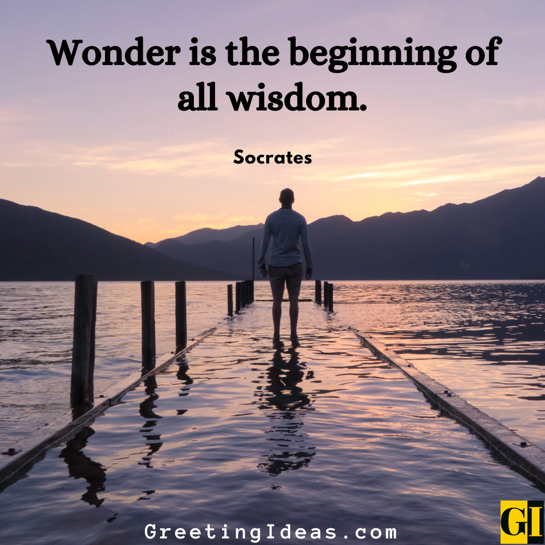 65 Inspiring Wonder Quotes To Rekindle Aliveness