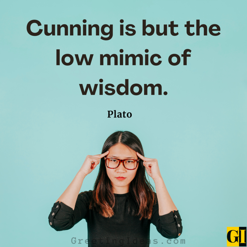 cunning-definition-meaning-and-usage-in-a-sentence