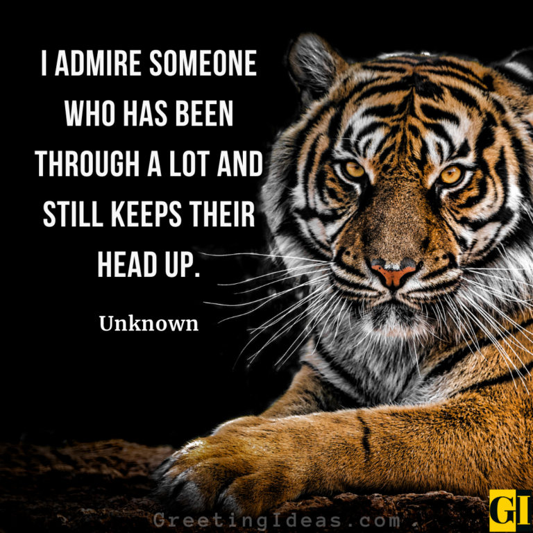 100 Keeping Your Head Up Quotes And Staying Strong