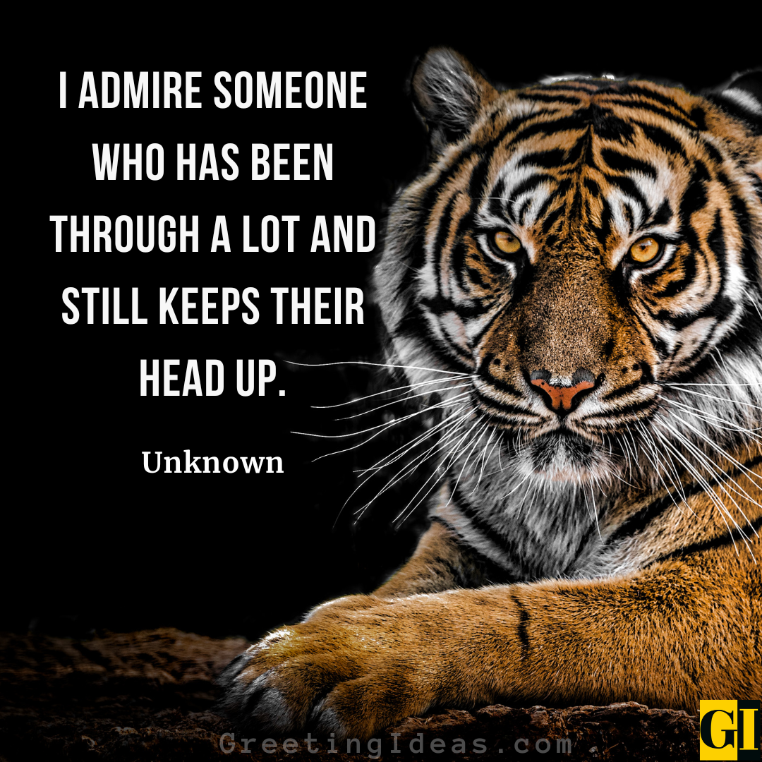 100 Keeping Your Head Up Quotes And Staying Strong