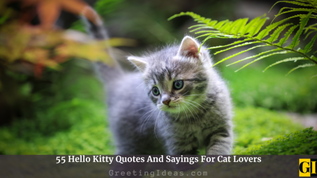 55 Hello Kitty Quotes And Sayings For Cat Lovers