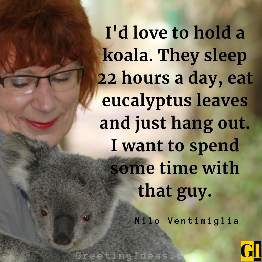 Koala Quotes Images Greeting Ideas 3