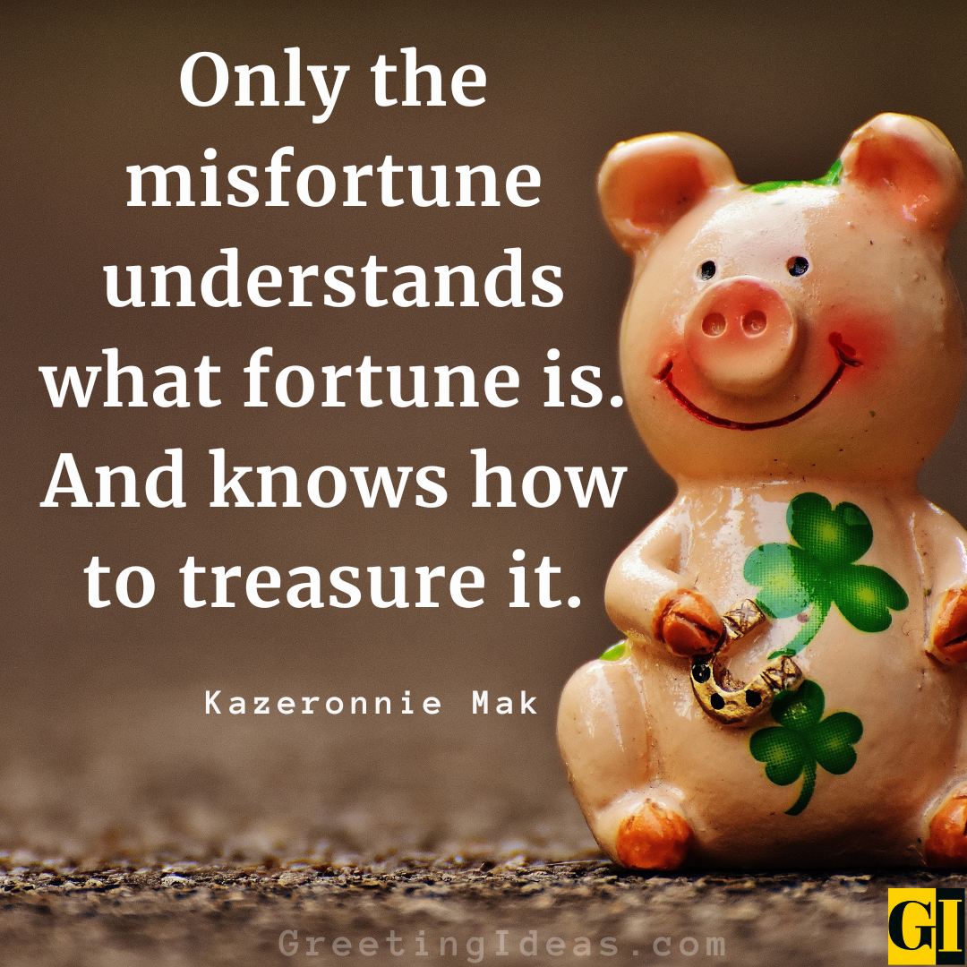 35 Overcome Misfortune Quotes Sayings And Not Lose Hope