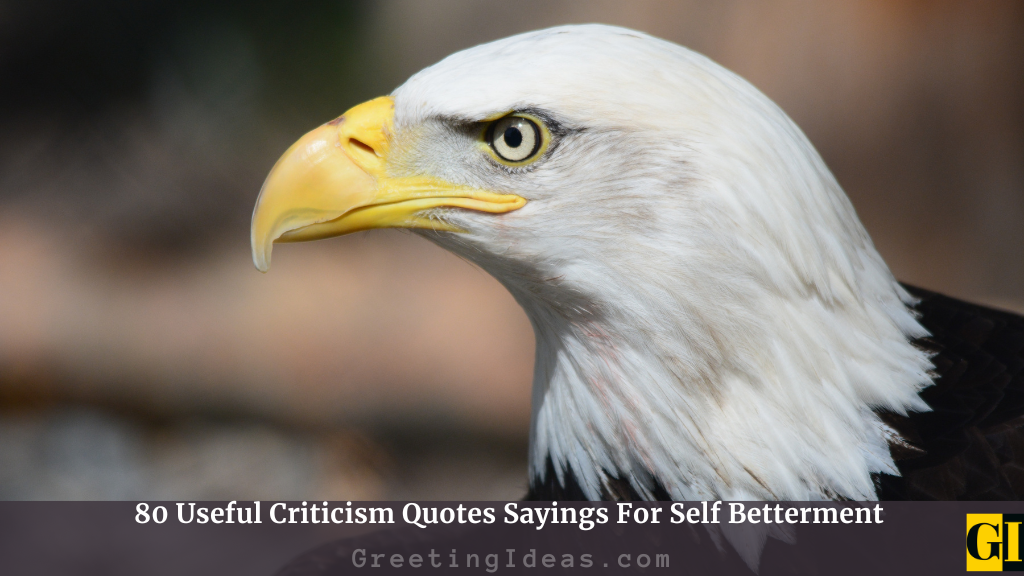 Criticism Quotes