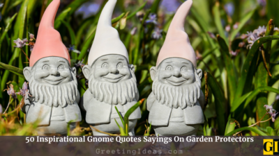 50 Inspirational Gnome Quotes Sayings On Garden Protectors