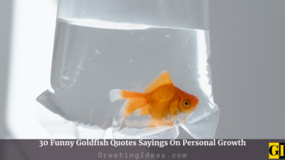 30 Funny Goldfish Quotes Sayings On Personal Growth