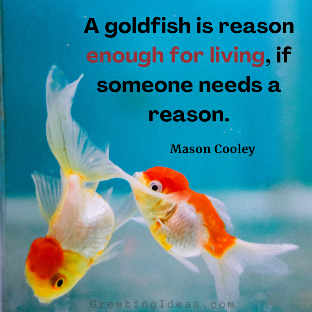 Goldfish Quotes Images Greeting Ideas 1