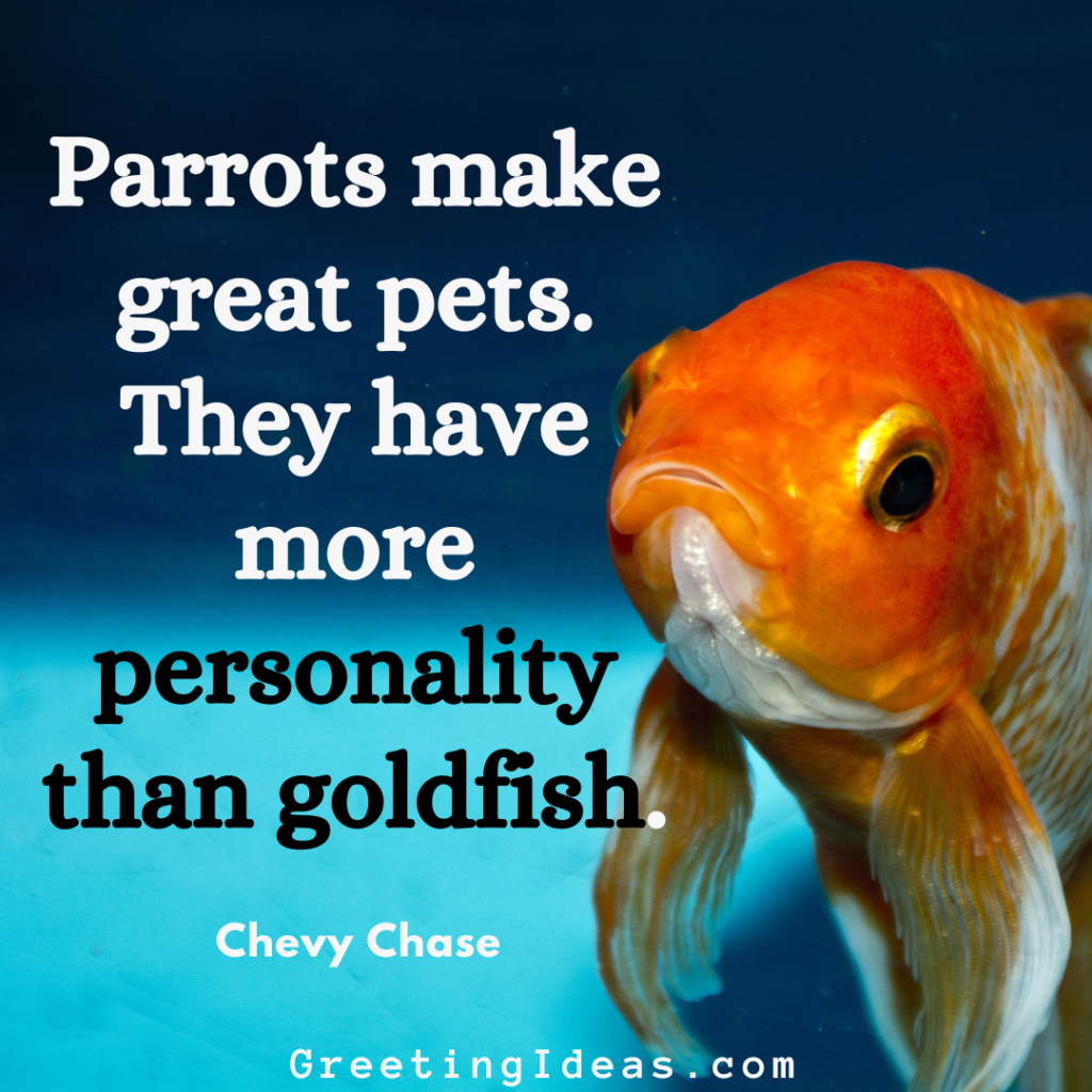 Goldfish Quotes Images Greeting Ideas 2