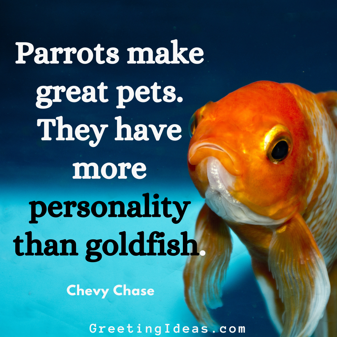 30 Funny Goldfish Quotes Sayings On Personal Growth