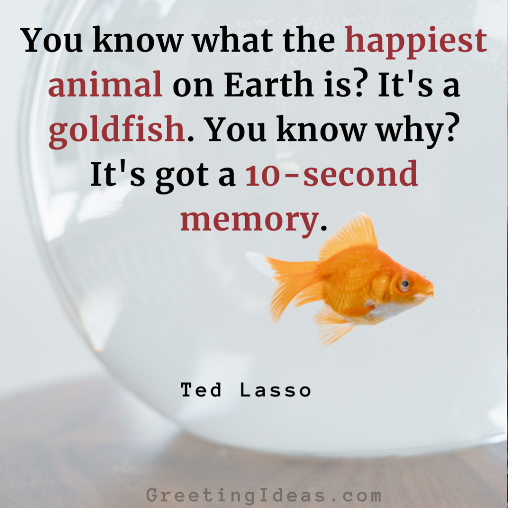 Goldfish Quotes Images Greeting Ideas 3