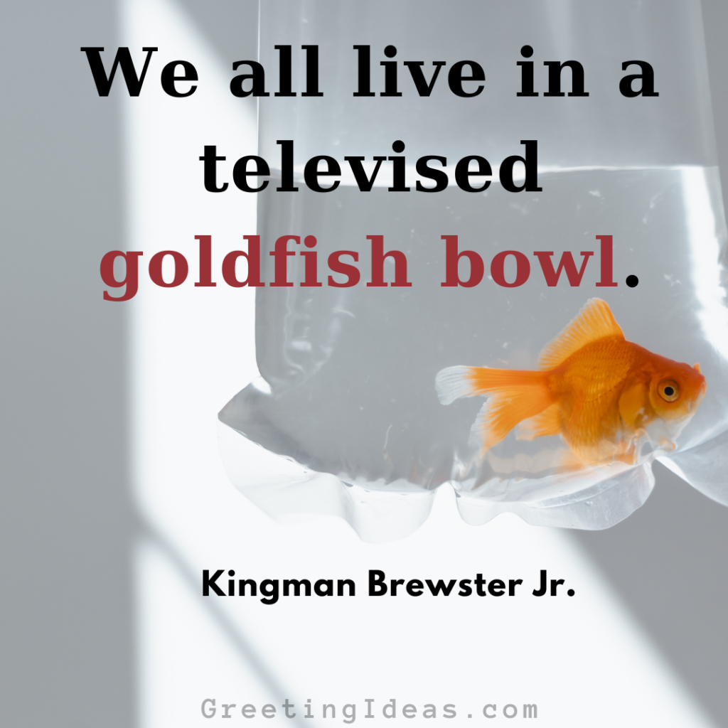 Goldfish Quotes Images Greeting Ideas 4