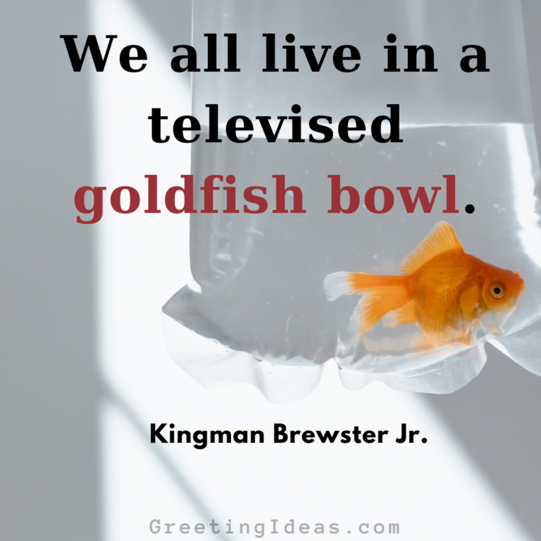 30 Funny Goldfish Quotes Sayings On Personal Growth