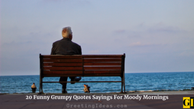 20 Funny Grumpy Quotes Sayings For Moody Mornings
