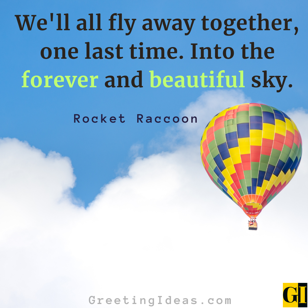 45 Greatest Raccoon Quotes Including MCU Superhero Rocket