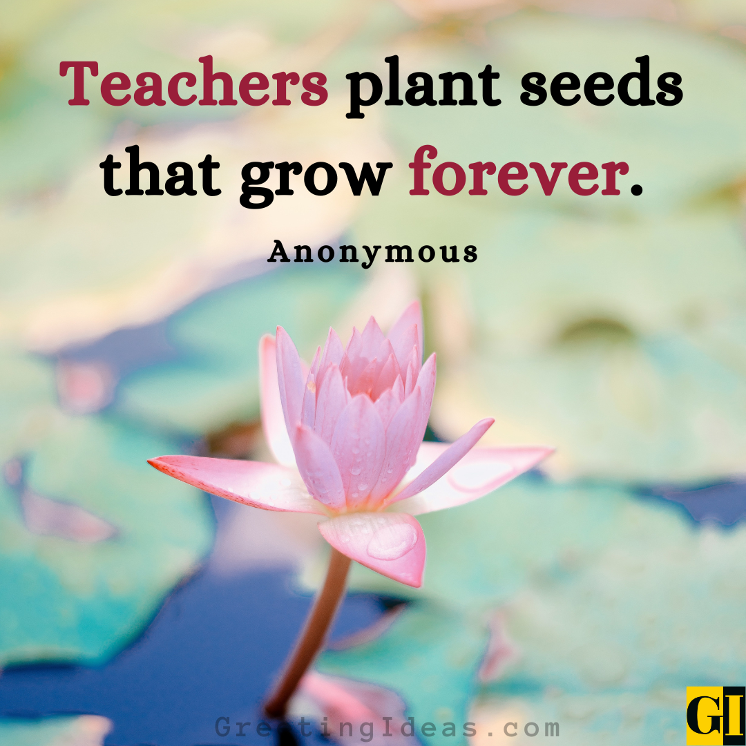 20 Best Kindergarten Teacher Quotes To Show Appreciation